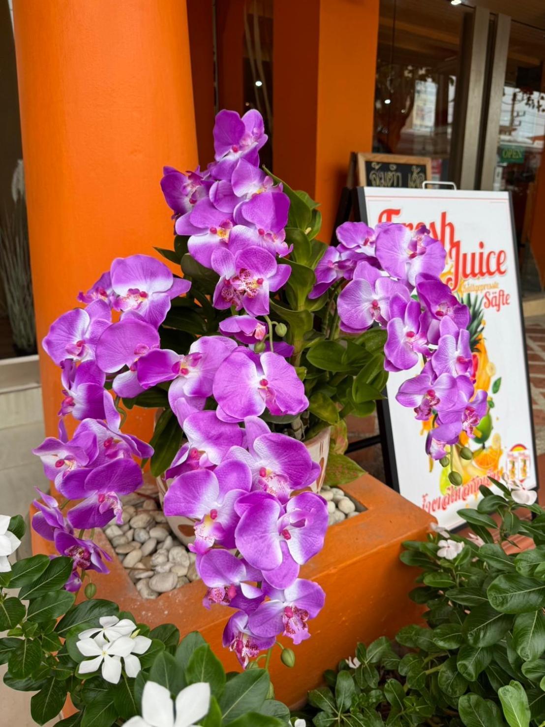 Venice Hotel HHQ Exterior photo